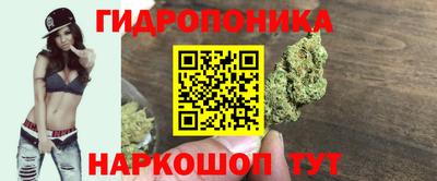 mix Новозыбков