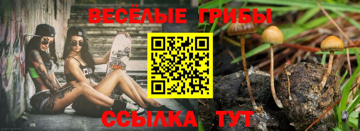 Галлюциногенные грибы мухоморы Тосно