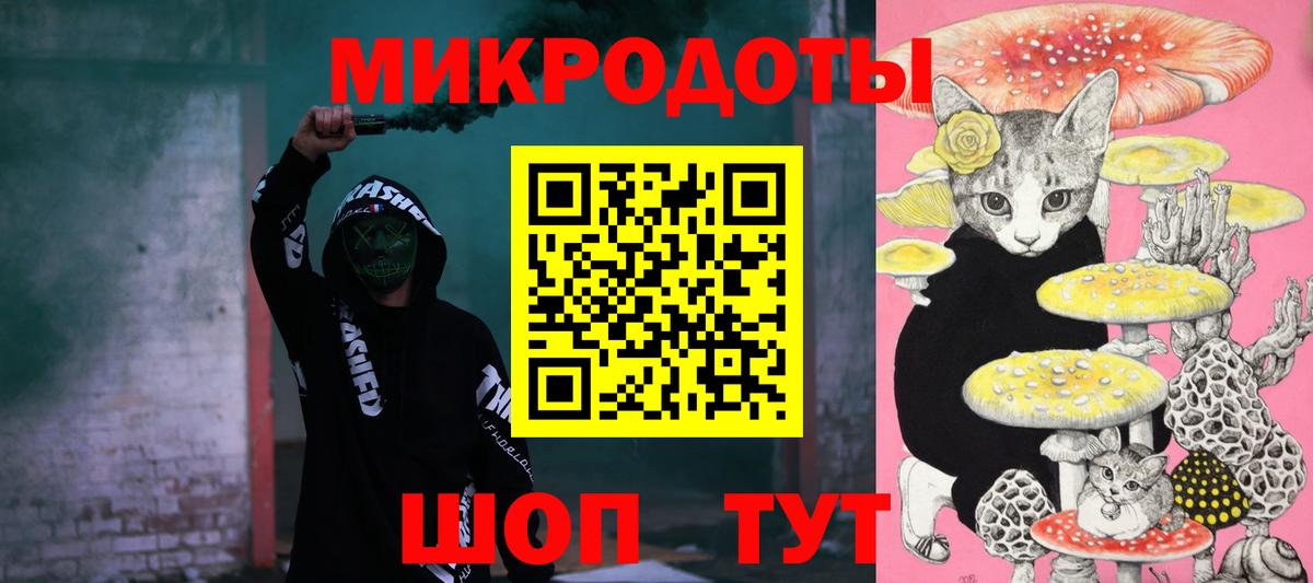 Тосно  Псилоцибиновые грибы MAGIC MUSHROOMS  Вход с VPN 